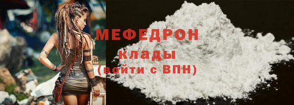 стаф Дубна