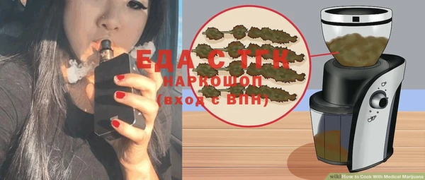 стаф Дубна