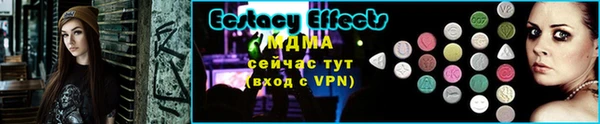 стаф Дубна