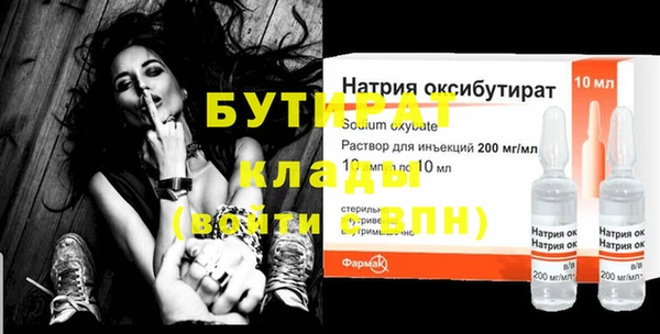 стаф Дубна