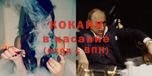 стаф Дубна