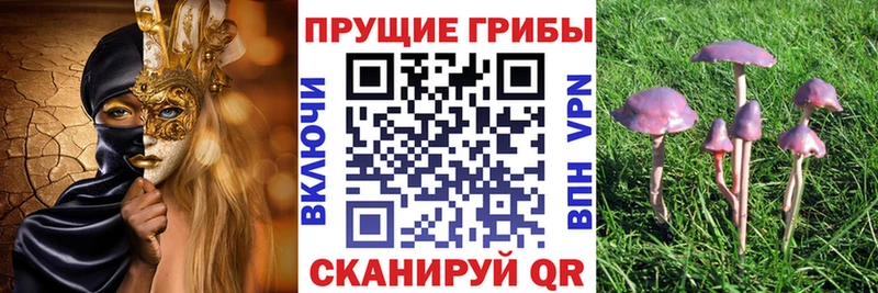 Псилоцибиновые грибы GOLDEN TEACHER магазин продажи Любим